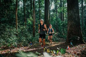 BIB: 
                            <button type="button" onclick="openModal(26077876)" class="btn btn-primary btn-sm float-right btn-popup" data-toggle="modal" data-target=".modal-high-quality">
                        <i class="fas fa-shopping-cart"></i> Add to Cart
                    </button>
                                            <button type="button" onclick="isThisMe(26077876, true)" class="btn btn-success btn-sm float-right btn-popup btn-isme hidden" data-toggle="tooltip" data-placement="bottom" title="นี่คือรูปของคุณใช่ไหม คลิกที่นี่เพื่อเอาเข้าอัลบั้ม">
                        <i class="fas fa-plus"></i> Add to album
                    </button>
                    <button type="button" onclick="isThisMe(26077876, false)" class="btn btn-warning btn-sm float-right btn-popup btn-isnotme hidden">
                        <i class="fas fa-ban"></i> Remove from album
                    </button>